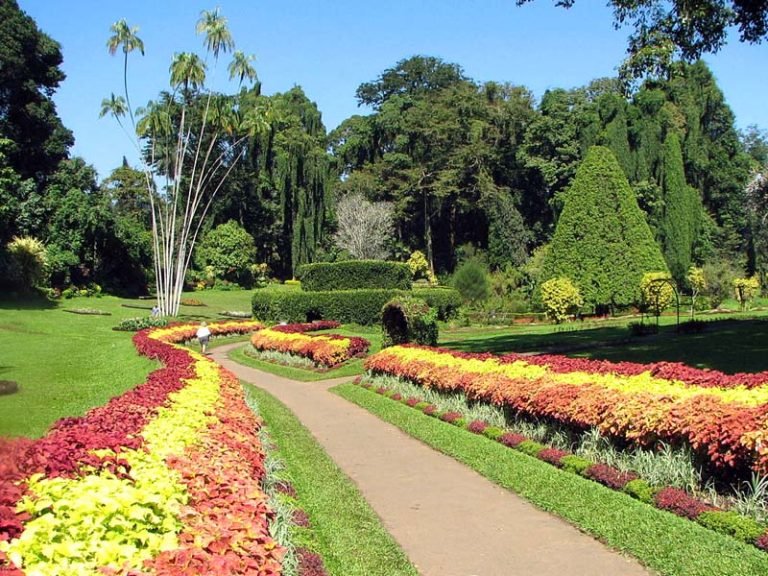 Peradeniya Botanical Garden